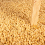 Tapis de Couloir à poils longs - Solid Jaune